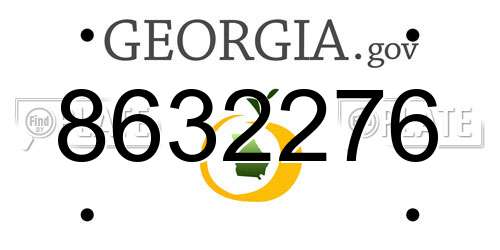 8632276 Georgia License Plate