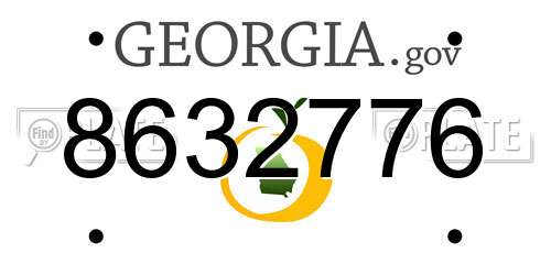8632776 Georgia License Plate