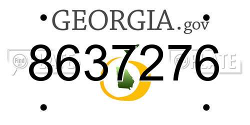 8637276 Georgia License Plate