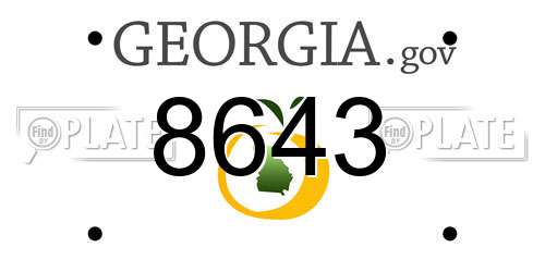8643 Georgia License Plate