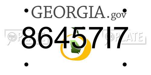 86457I7 Georgia License Plate
