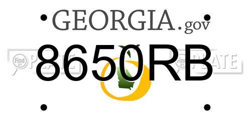 8650RB Georgia License Plate