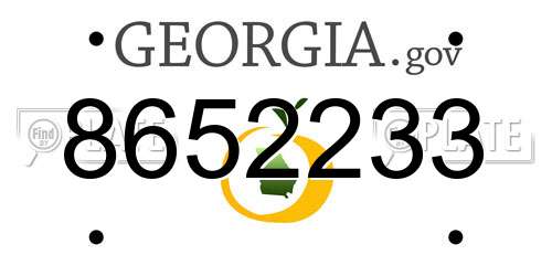 8652233 Georgia License Plate