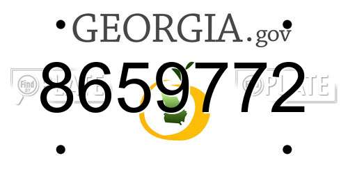 8659772 Georgia License Plate