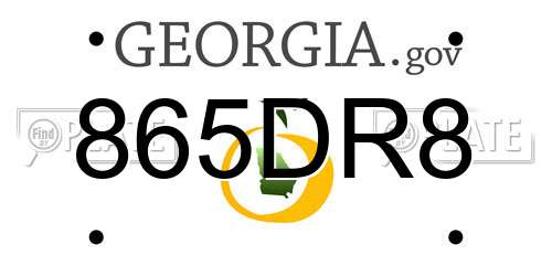 865DR8 Georgia License Plate