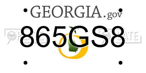 865GS8 Georgia License Plate