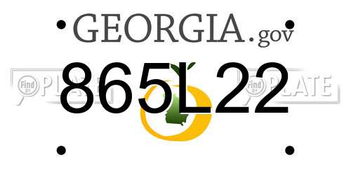 865L22 Georgia License Plate