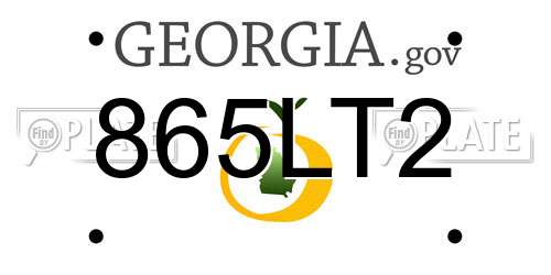 865LT2 Georgia License Plate
