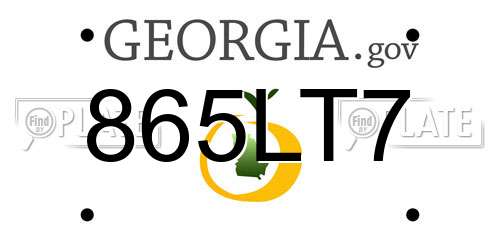 865LT7 Georgia License Plate