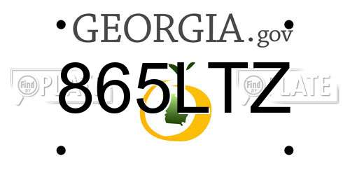 865LTZ Georgia License Plate