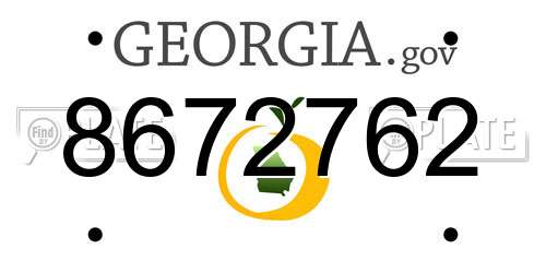 8672762 Georgia License Plate