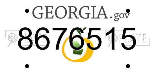 8676515 Georgia License Plate