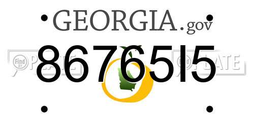 86765I5 Georgia License Plate