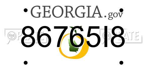 86765I8 Georgia License Plate
