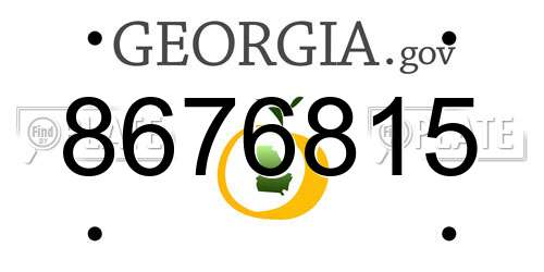 8676815 Georgia License Plate