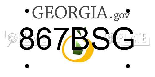 867BSG Georgia License Plate