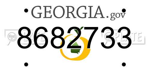 8682733 Georgia License Plate