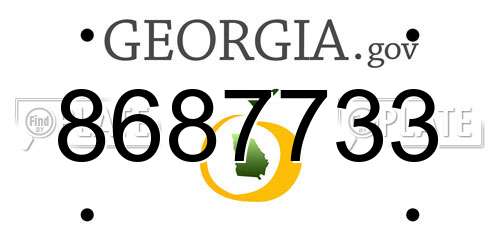 8687733 Georgia License Plate