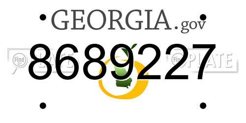 8689227 Georgia License Plate