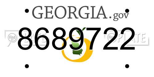 8689722 Georgia License Plate