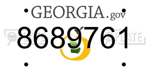 8689761 Georgia License Plate