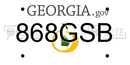 868GSB Georgia License Plate