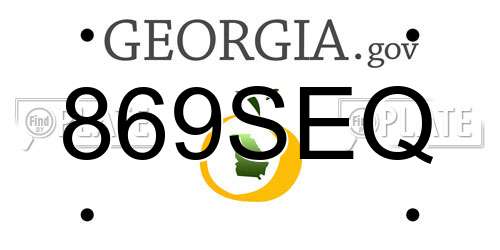 869SEQ Georgia License Plate