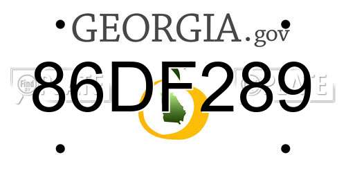 86DF289 Georgia License Plate