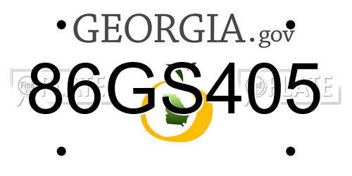 86GS405 Georgia License Plate