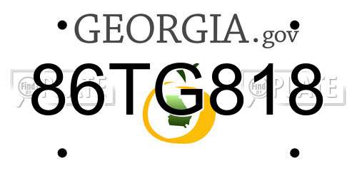 86TG818 Georgia License Plate