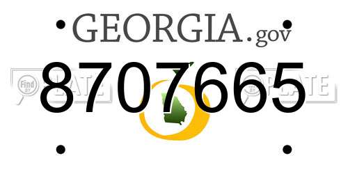 8707665 Georgia License Plate