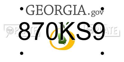 870KS9 Georgia License Plate