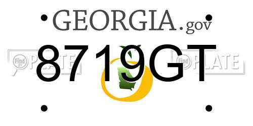 8719GT Georgia License Plate