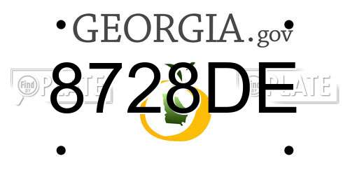 8728DE Georgia License Plate