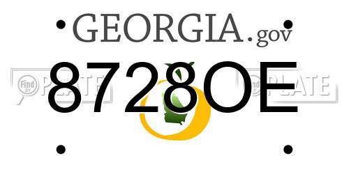 8728OE Georgia License Plate