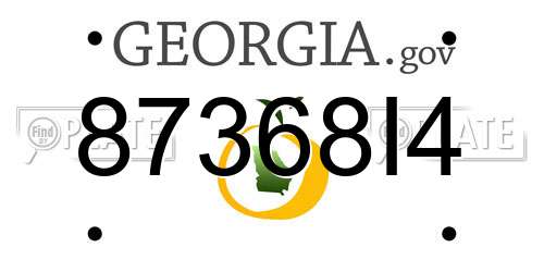 87368I4 Georgia License Plate