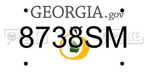 8738SM Georgia License Plate