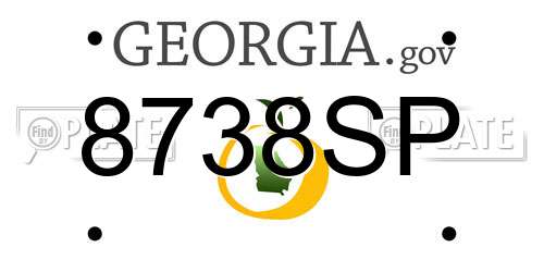 8738SP Georgia License Plate