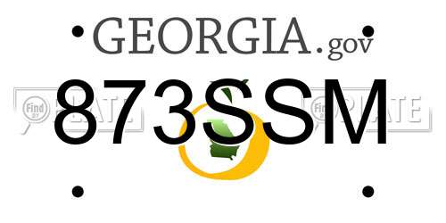 873SSM Georgia License Plate