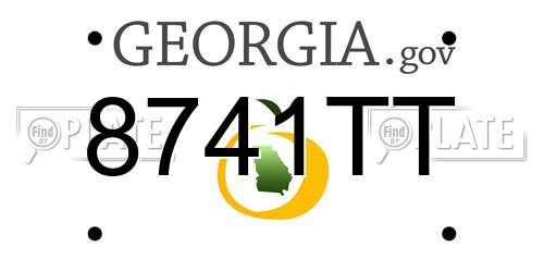 8741TT Georgia License Plate