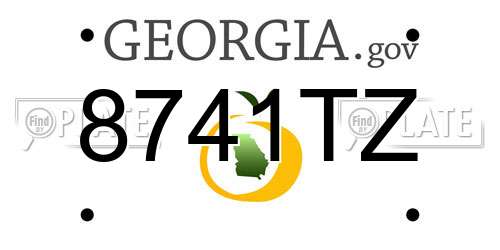8741TZ Georgia License Plate