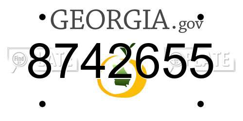 8742655 Georgia License Plate