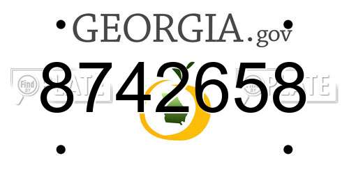 8742658 Georgia License Plate