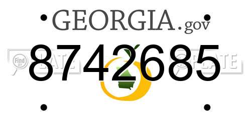 8742685 Georgia License Plate