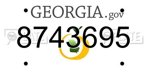 8743695 Georgia License Plate