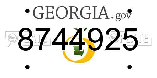 8744925 Georgia License Plate