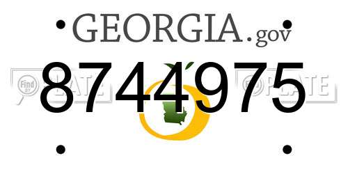 8744975 Georgia License Plate