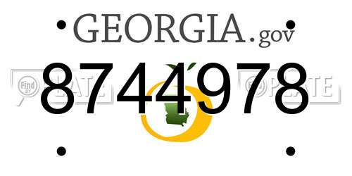 8744978 Georgia License Plate