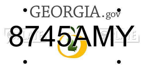 8745AMY Georgia License Plate