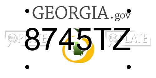 8745TZ Georgia License Plate